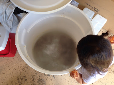 Garage Winemaking – Part deux