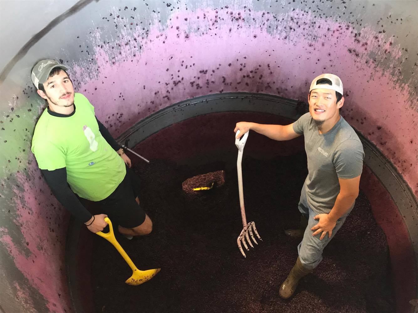 Winemaking: Risky Business
