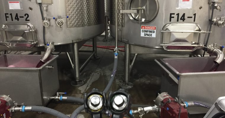 Winery Interns: How to Land an Internship